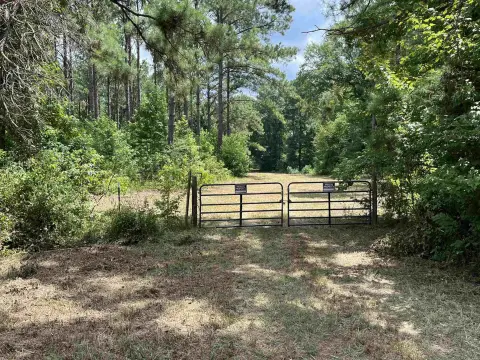 Timber Hunting Land Tract