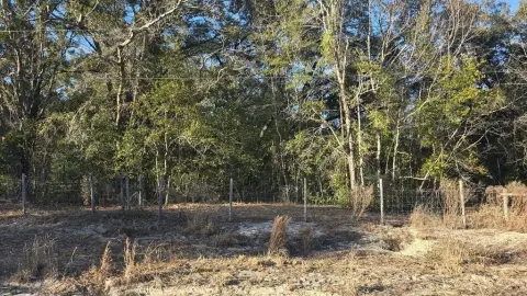 Vacant Lot in Trenton, Florida