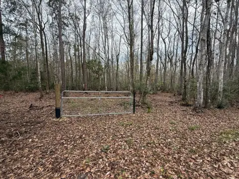 Vacant Lot in Homosassa