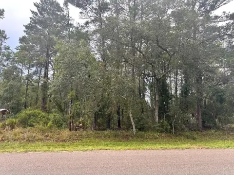 Coastal Lot in Steinhatchee, FL