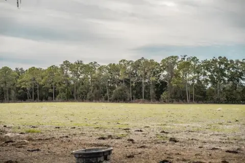 Chiefland Acreage for Residential Development