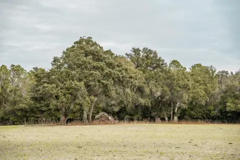 Chiefland Acreage in Country Hall
