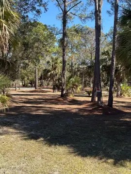 Cleared Land Near Suwannee River
