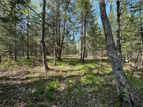 20 Acres Wooded Recreational Land