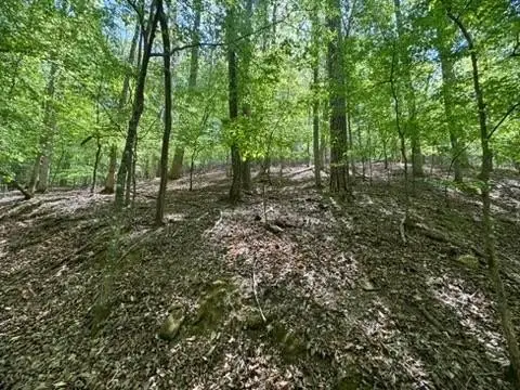 Wooded Lot in Coosawattee Resort