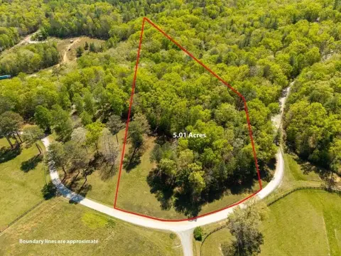 5-Acre Homesite in Ellijay, GA