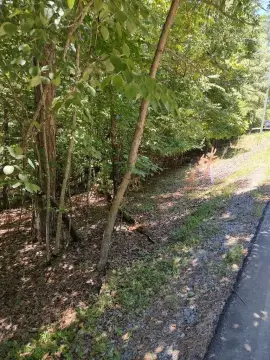 Wooded Lot in Gated Community
