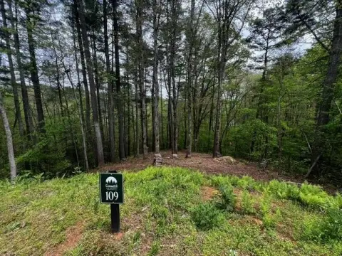 Ellijay Homesite in Gated Community