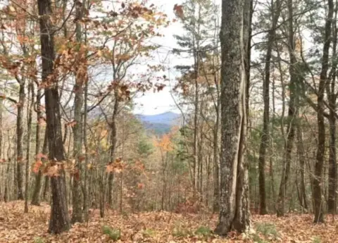 Ellijay Vacant Lot with Views