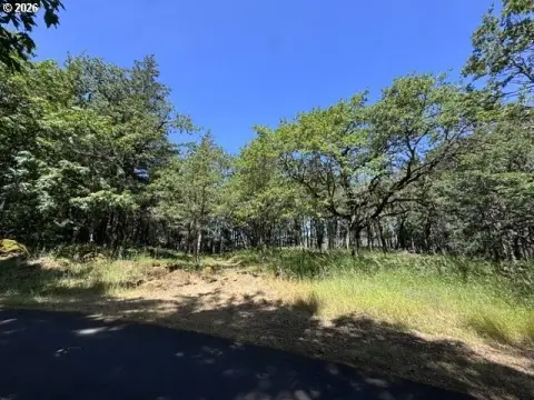 Rural Residential Bluff-Front Land