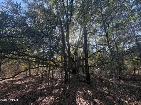 Marianna, FL Acreage For Sale