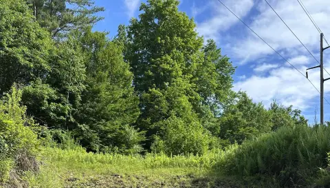 Wooded Hunting Land Parcel