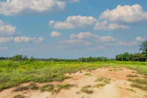 Rural Land with Mature Hardwoods