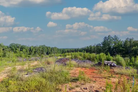 Wooded Recreational Land
