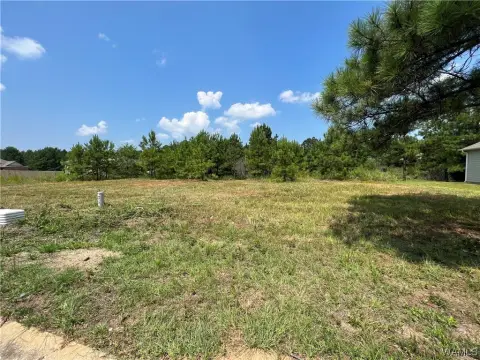 Brookwood, AL Lakefront Lot