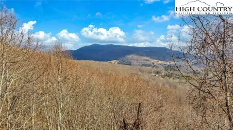 Wooded Lot Near West Jefferson