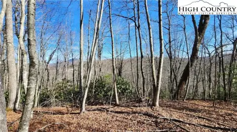 Linville Land with Mountain Views