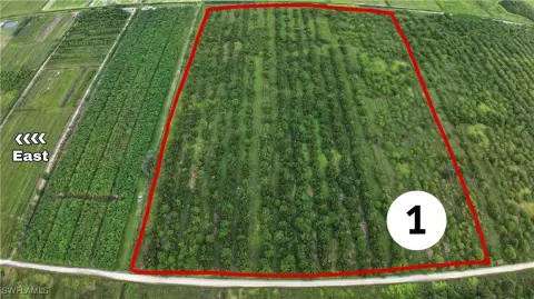 40 Acres of Prime Farmland