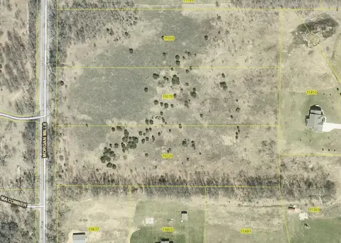 Wooded Land Near Greenville, MI