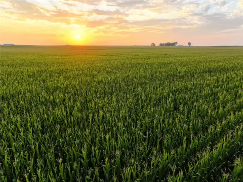 Agricultural Land with Cropland