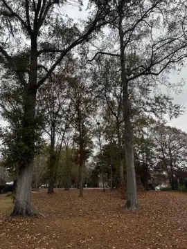 Land in Gated Waterfront Community