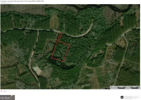 Wooded Lot in Gated Community