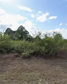 Vacant Lot in Lehigh Acres