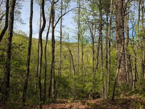 Unrestricted Land with Mountain Views