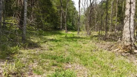 Unrestricted Acreage Bordering USFS Land