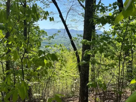 Hayesville Homesite in Golf Community