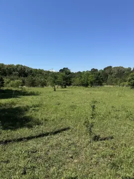Jacksonville Acreage on FM 855