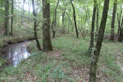 Wooded Land in Lincoln County