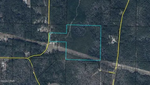 Unrestricted Hunting and Home Land