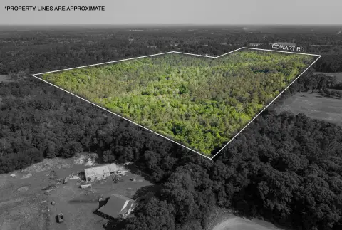 Lucedale Land with Road Frontage