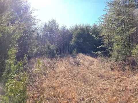 Pinnacle, NC Land For Sale