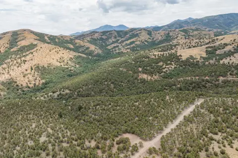 Agricultural Land Parcel