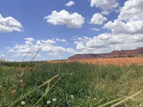 Agricultural Land with Easement Access