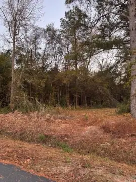 Expansive Land in Lynchburg, SC