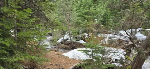 Land for Sale in Alturas