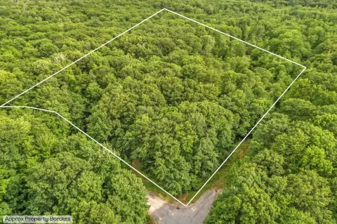 Waterfront Land with Shared Bear Pond Access