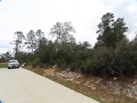 Vacant Lot in Kissimmee, FL