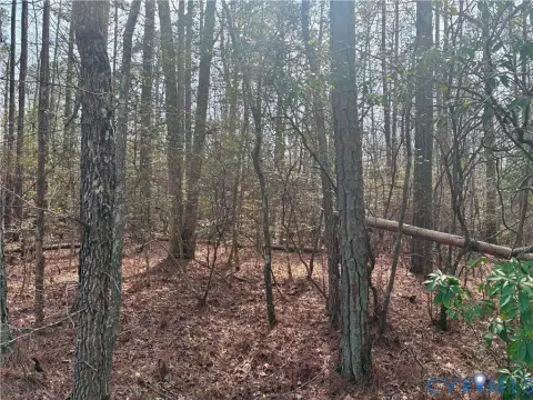 Wooded Lot in Chesterfield, VA