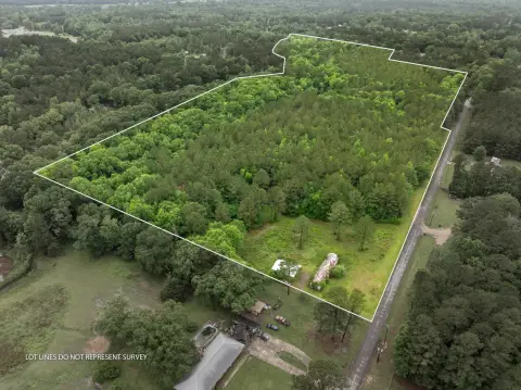 30 Acres Land in Petal