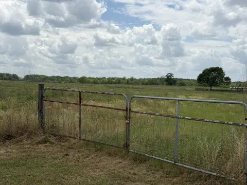 Lumberton Pastureland Homestead Opportunity