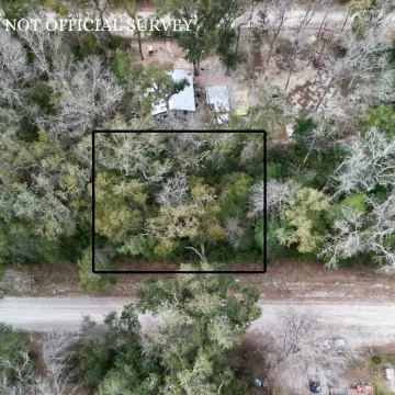 Wooded Lot Near Suwannee River