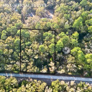 Levy County Buildable Lot