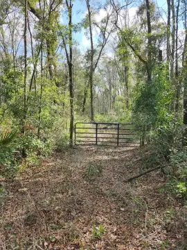 3 Acres in Woods of Dixie