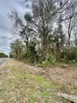 Affordable Land in Chiefland, Florida