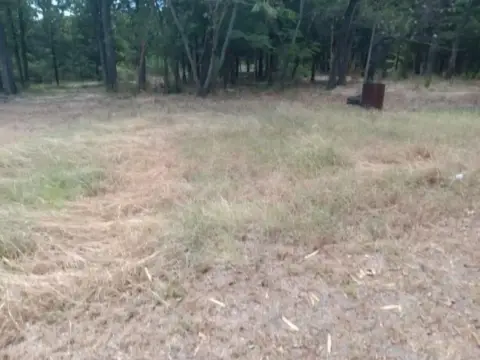 Residential Creek Lot in Dallas