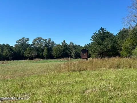 85 Acres of Recreational Land